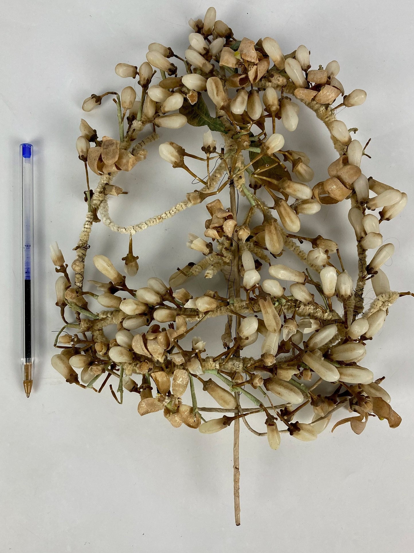 Ancienne couronne de mariée fin xix 1900