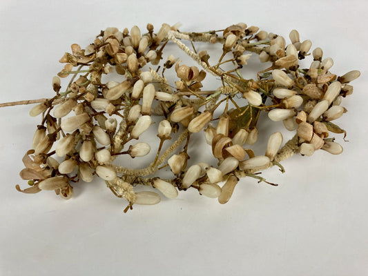 Ancienne couronne de mariée fin xix 1900