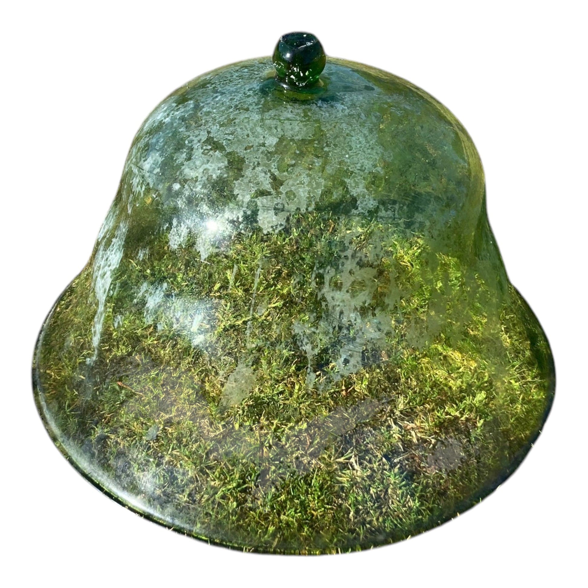 cloche à melon verte