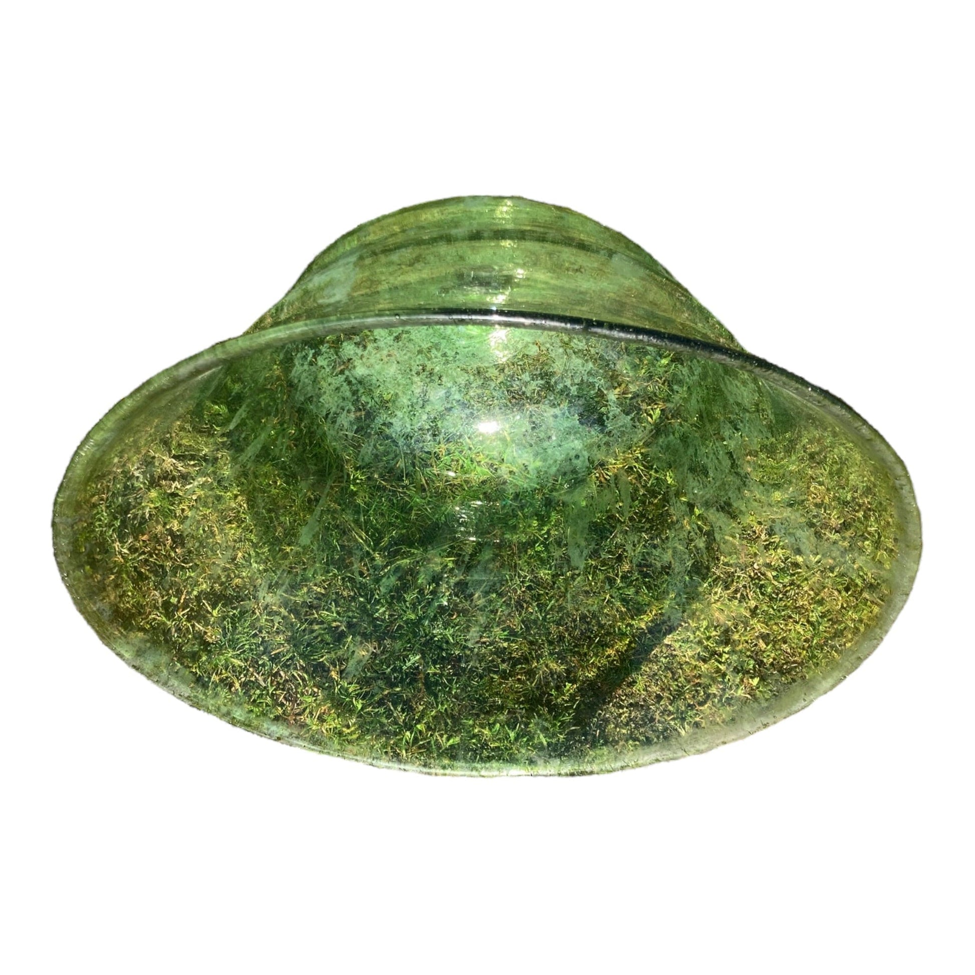 cloche à melon verte