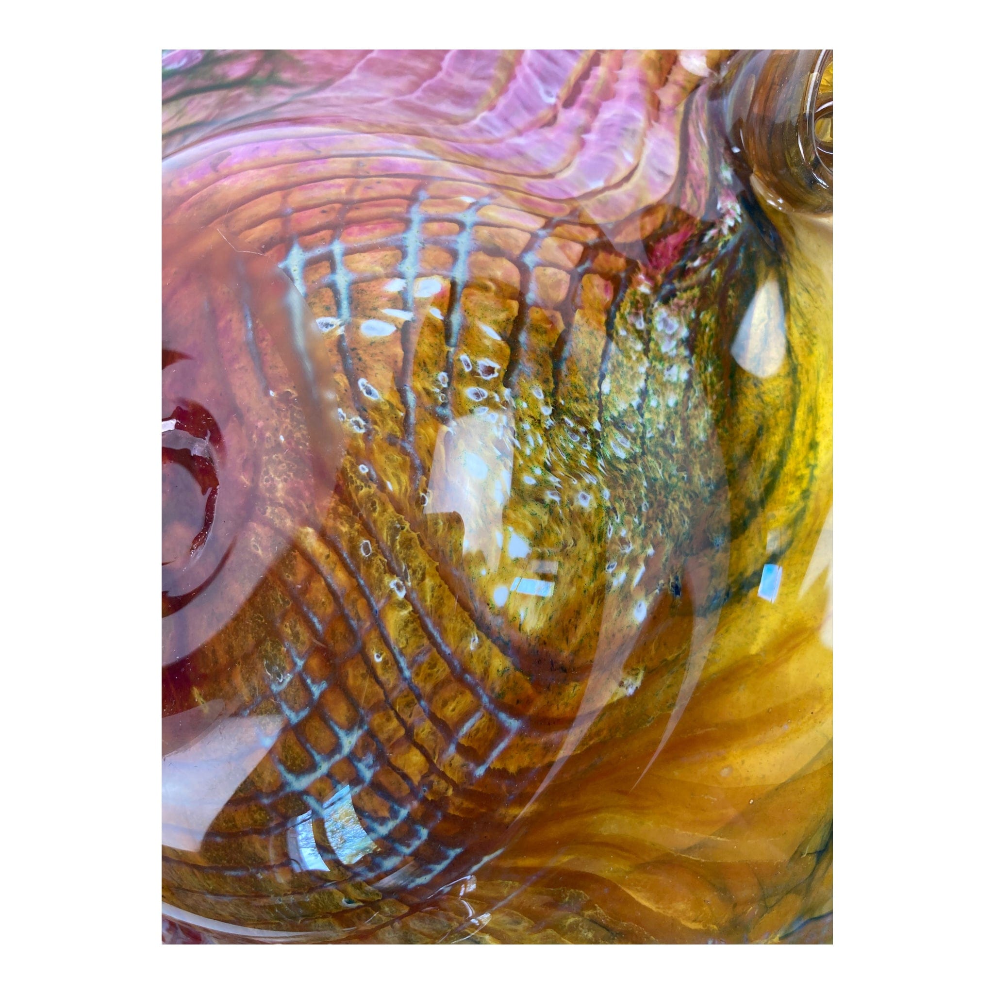 Coupe Carlos Vieira Pissos