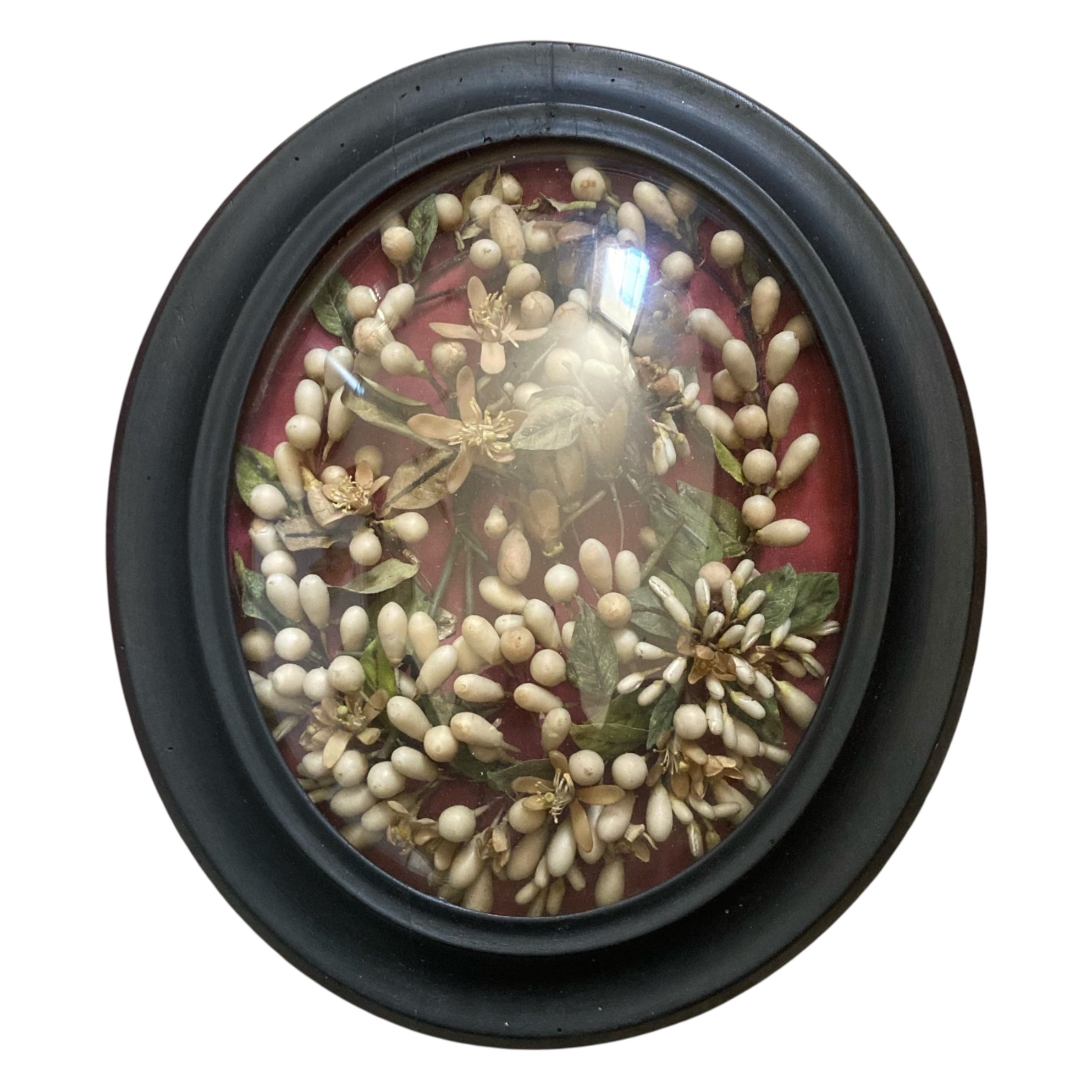 Ancienne couronne de mariée Napoléon III dans un cadre ovale noir et verre bombé.