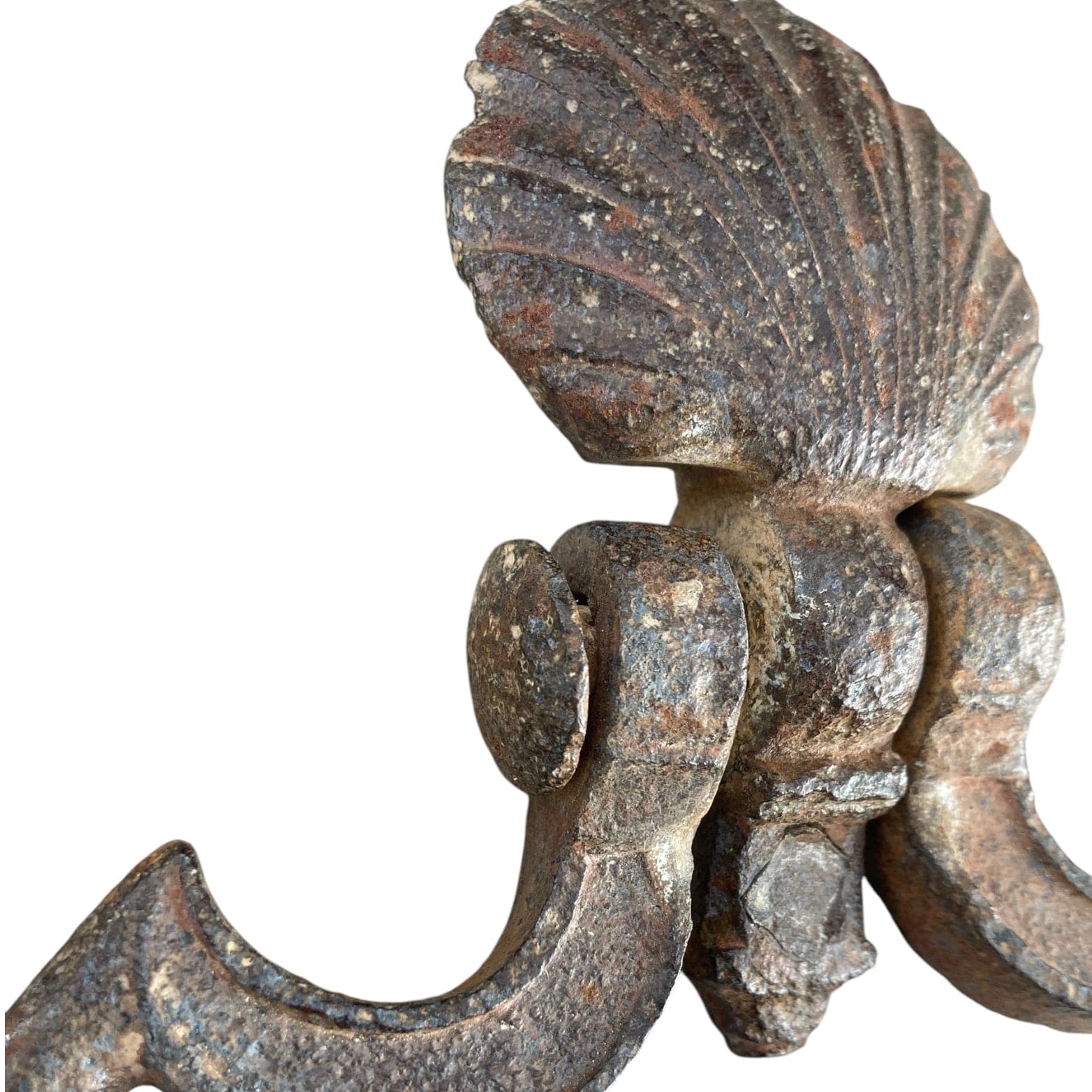 Marteau de porte Heurtoir fer forgé coquille Saint Jacques