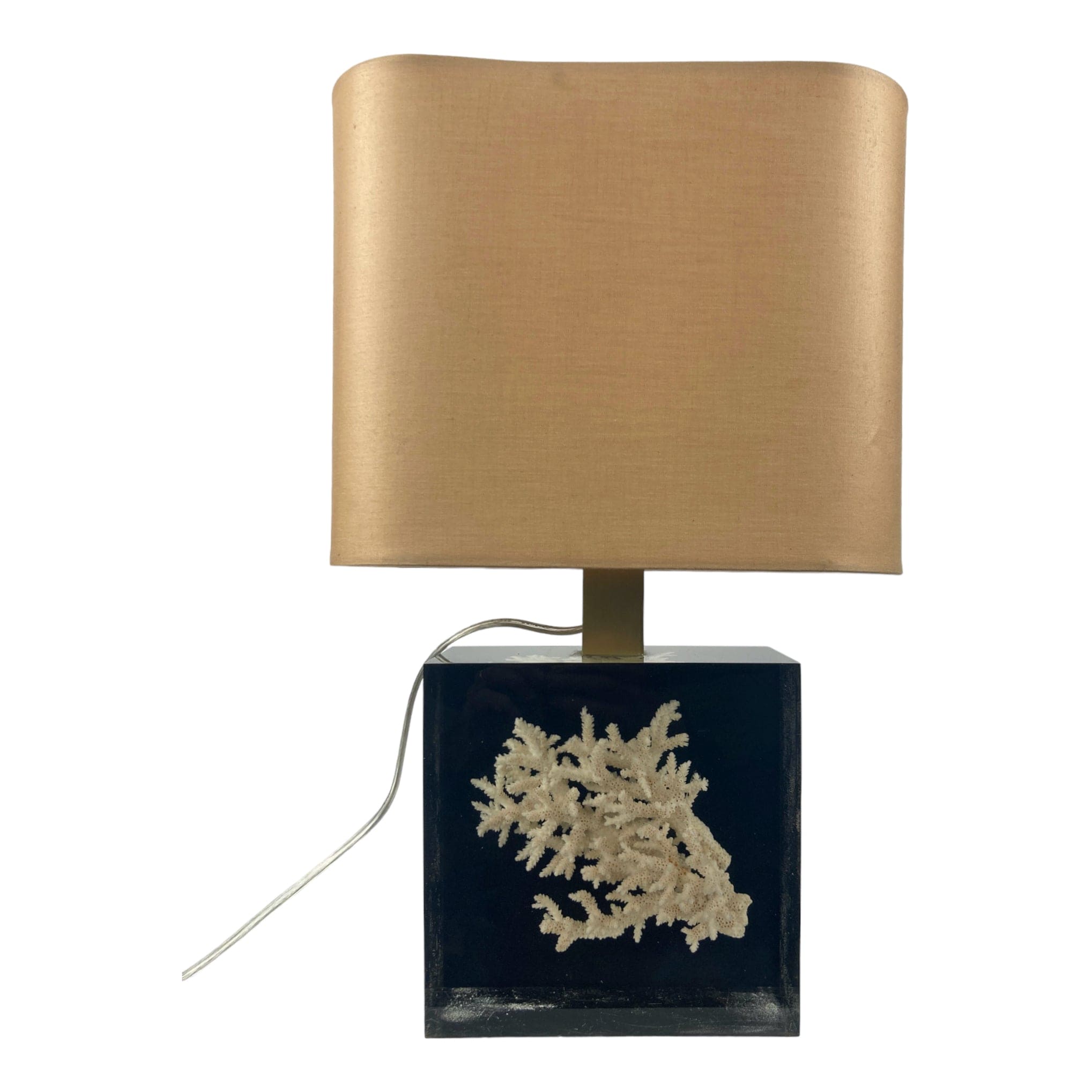 Pierre Giraudon lampe résine avec inclusion d' un corail