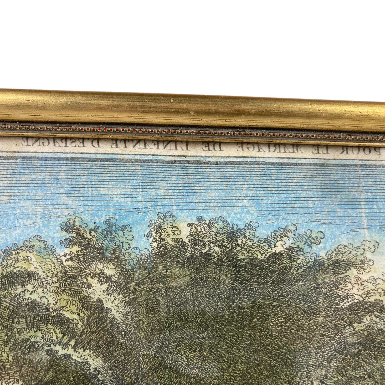 Festin pour le mariage de l'Infante d' Espagne ancienne vue d' optique