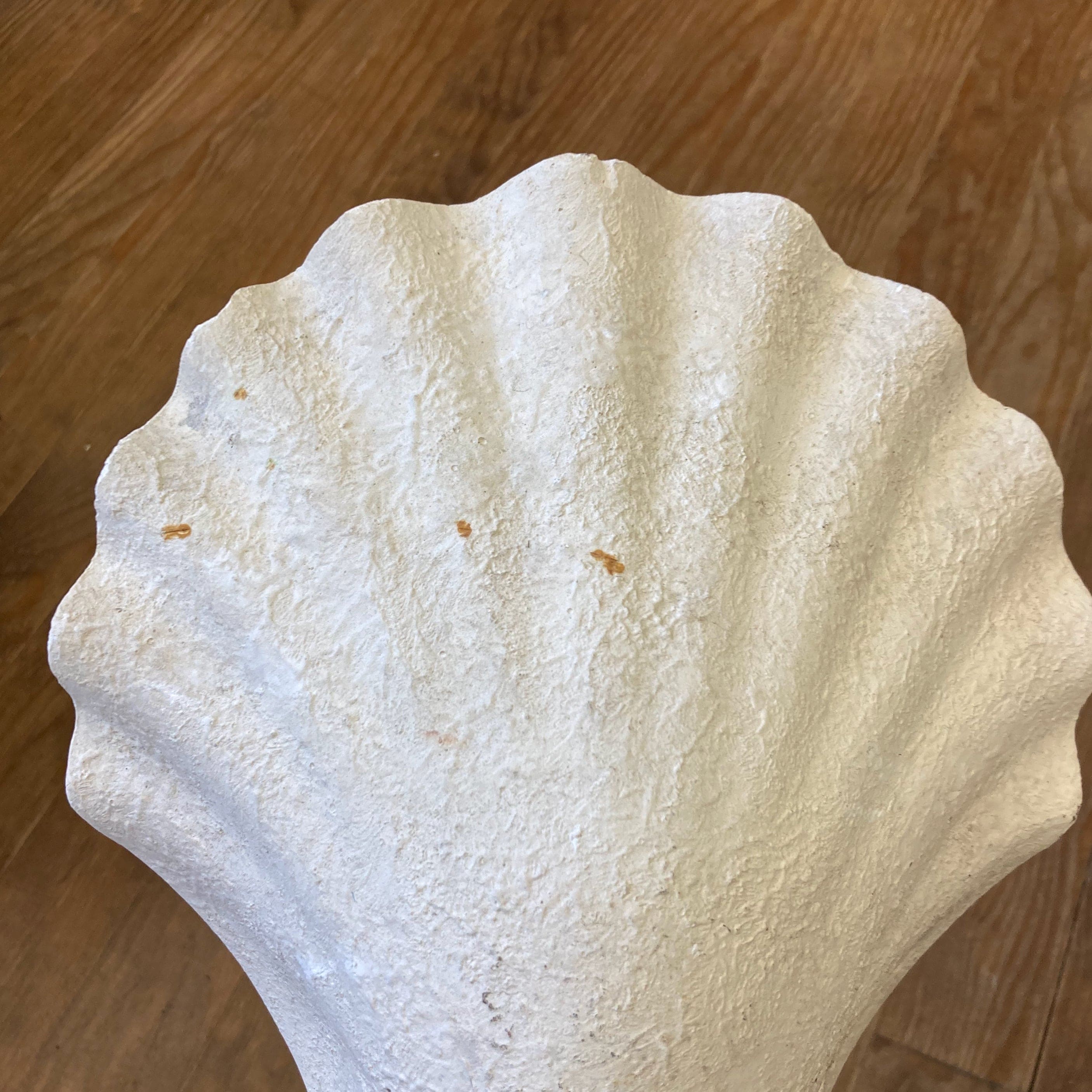 ancienne paire d' appliques murales d' angle  de forme coquille en plâtre.