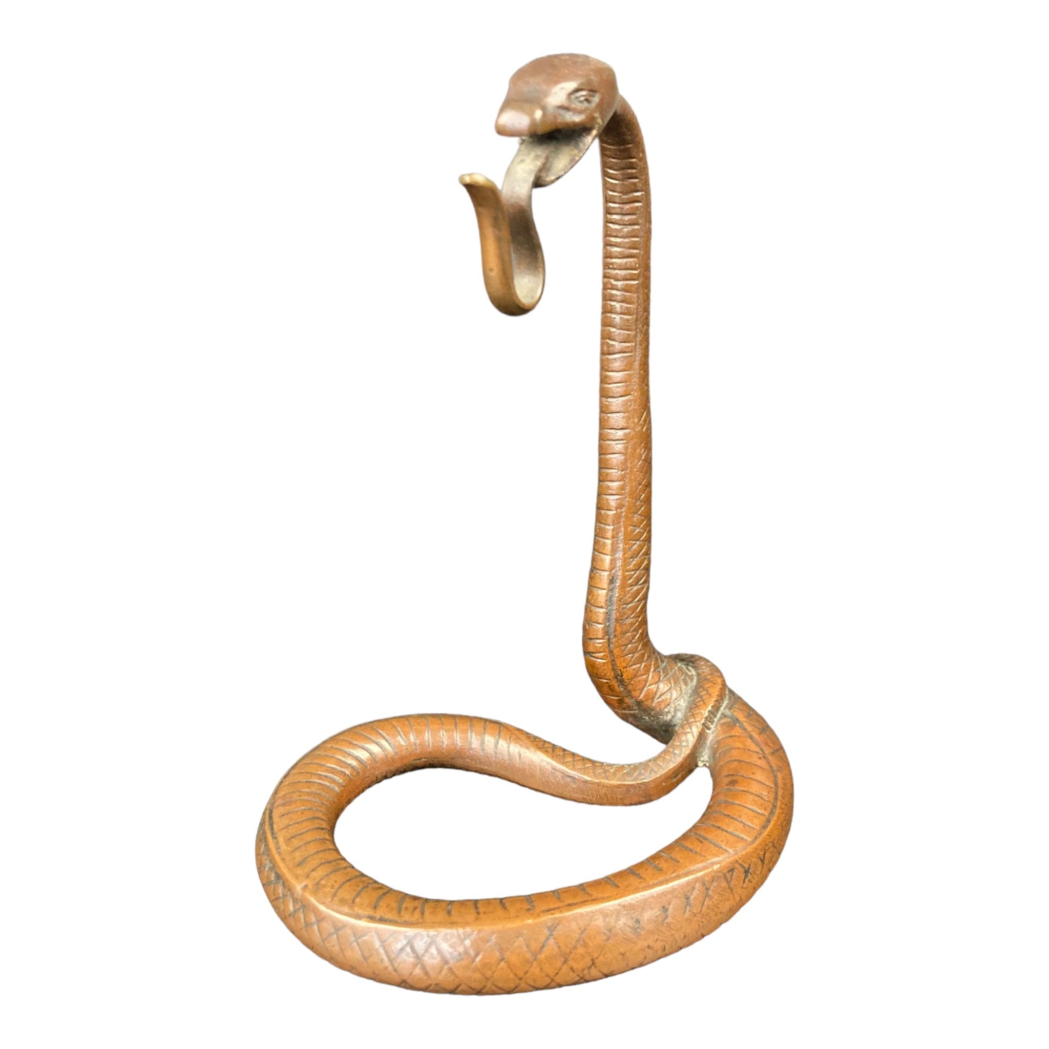 porte montre ancien forme de serpent