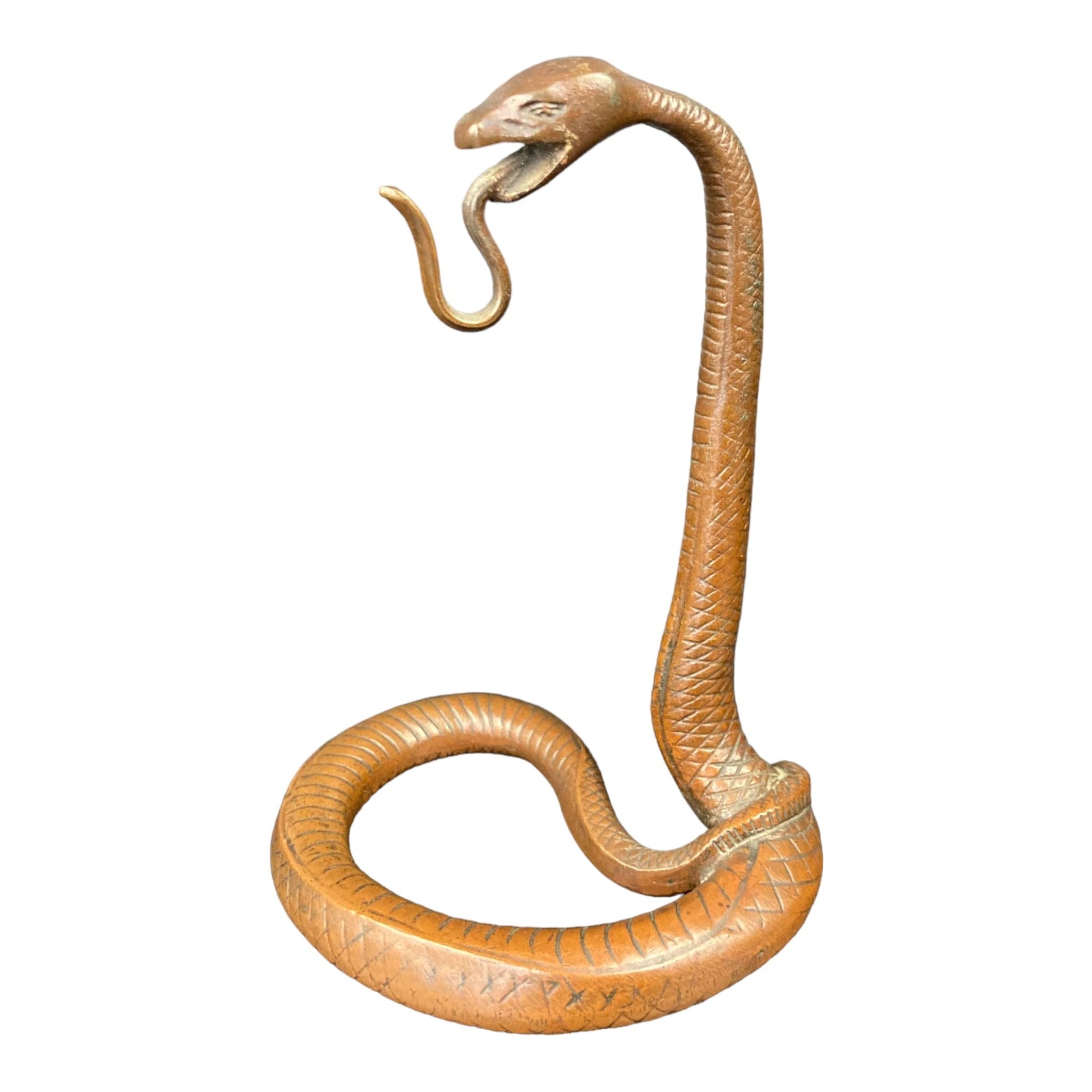 porte montre ancien forme de serpent