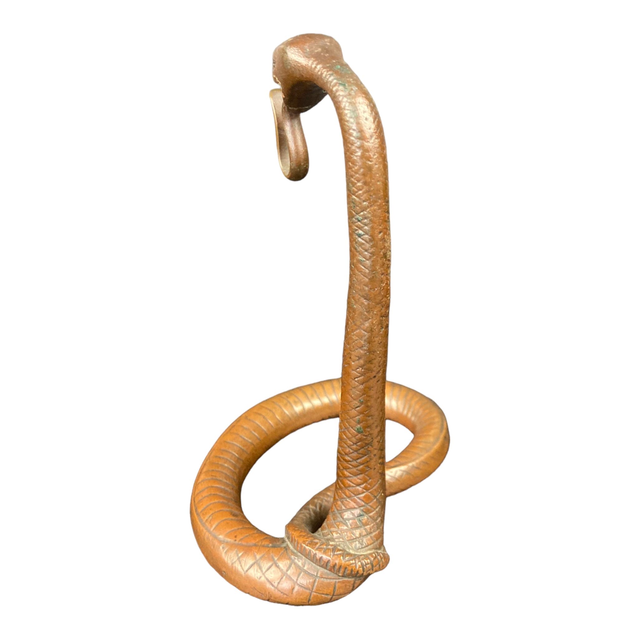 porte montre ancien forme de serpent