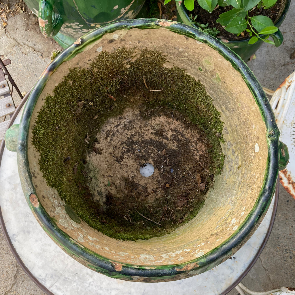 Ancien pot de jardin de Castelnaudary