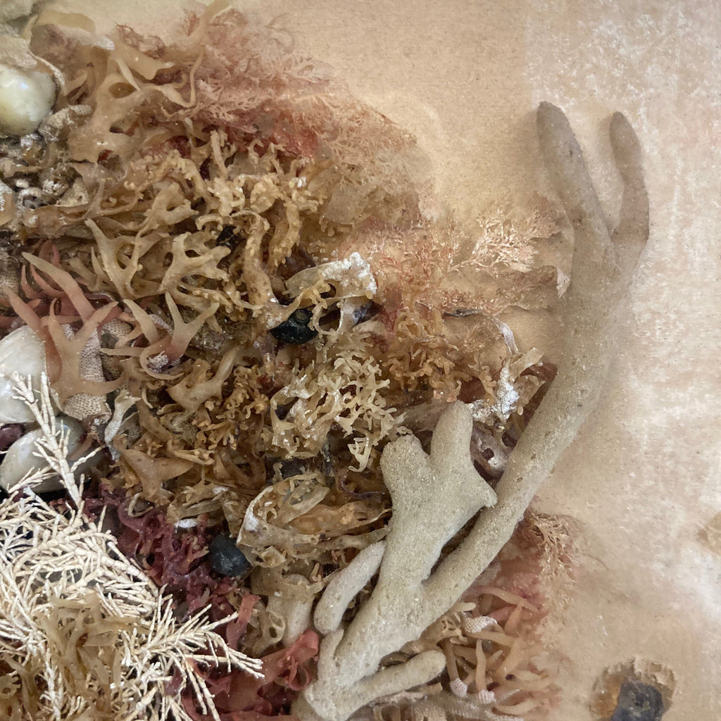 Composition marine ancienne