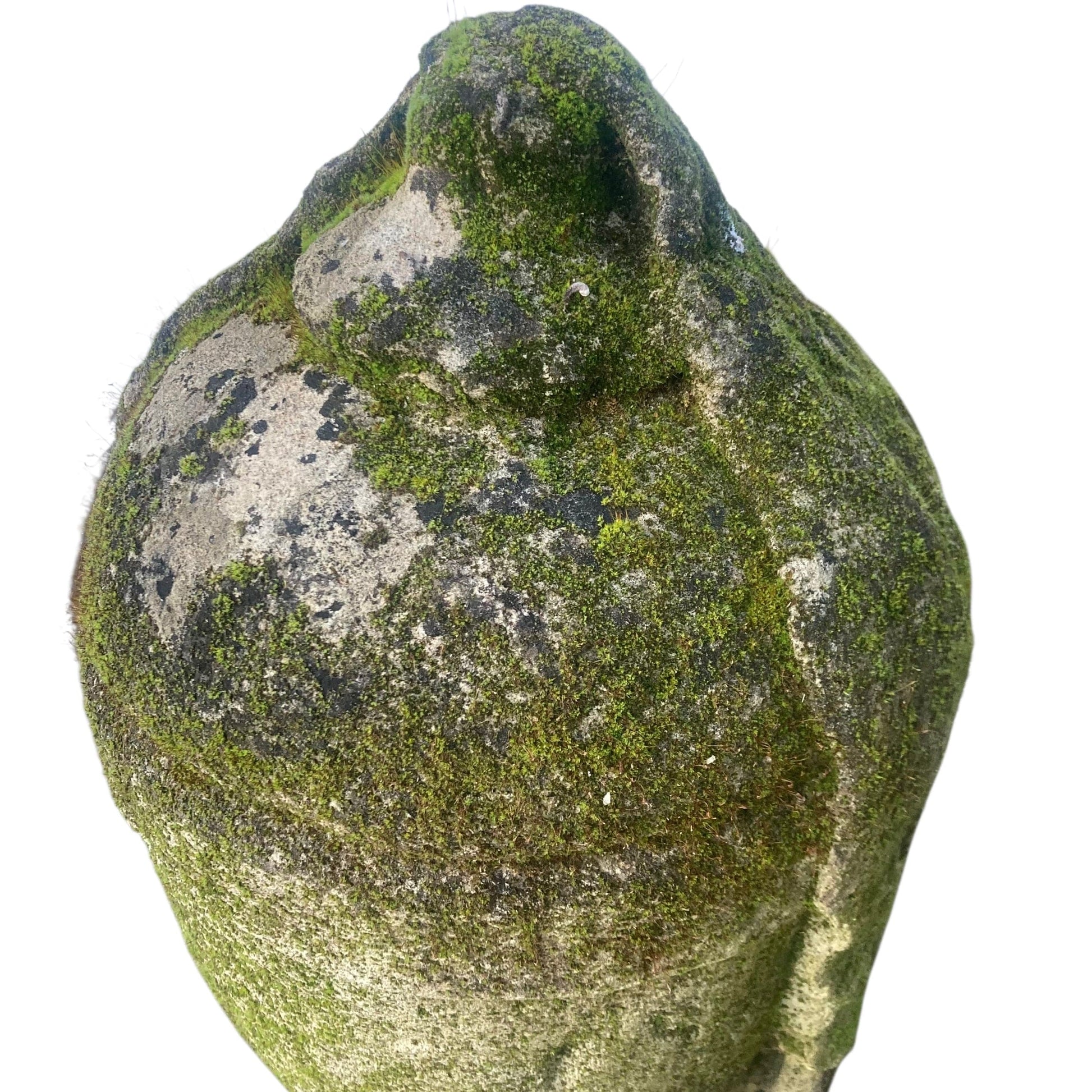 Urne  à l' antique en pierre sculptée ancienne