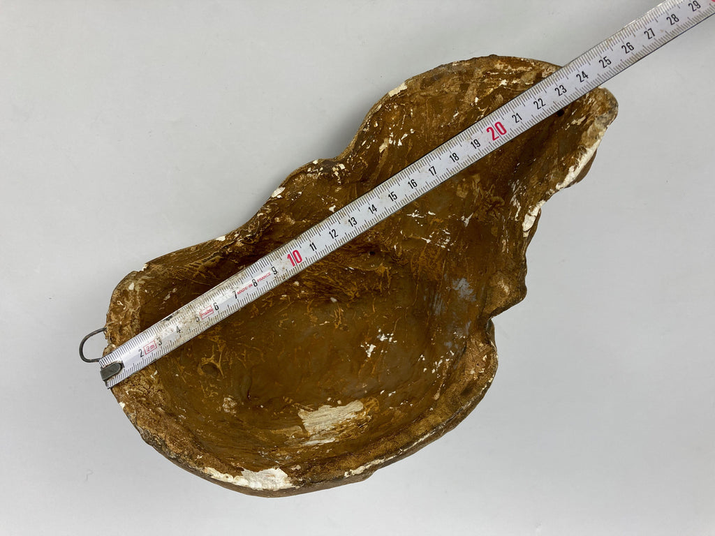 Crane Homme de Cro-Magnon Moulage Plâtre Solutréen
