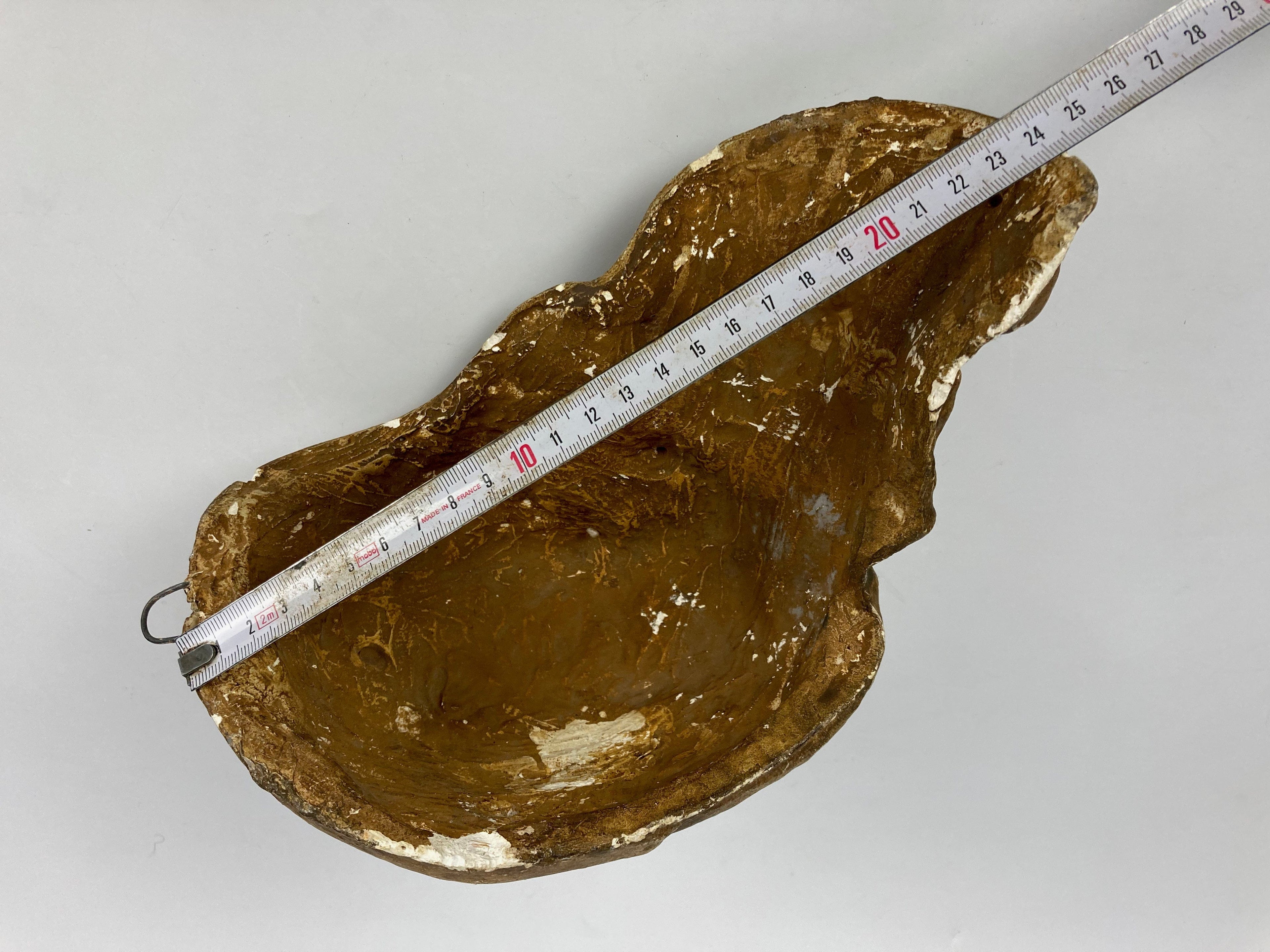 Crane Homme de Cro-Magnon Moulage Plâtre Solutréen