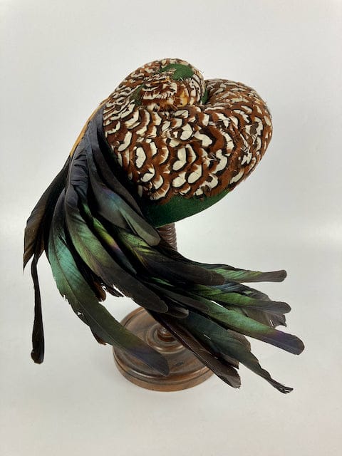 Le Monnier Modiste Haute Couture Hat с фазаном и перьями петуха 1940