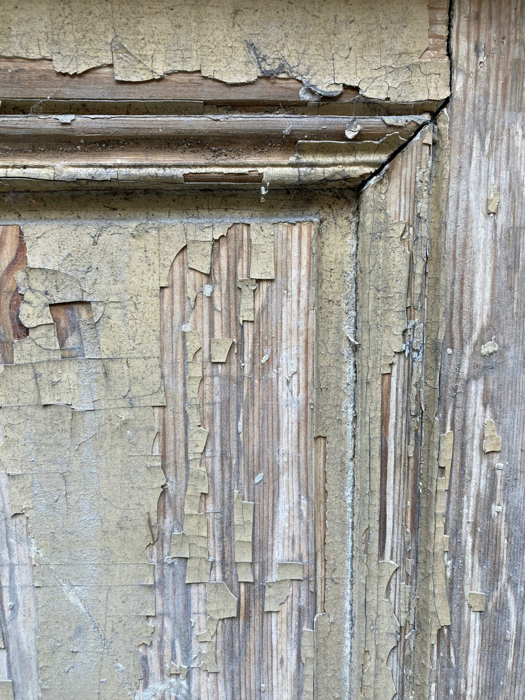 porte ancienne Louis XVI vitrée