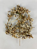 Ancienne couronne de mariée XIXe. Fleurs cire