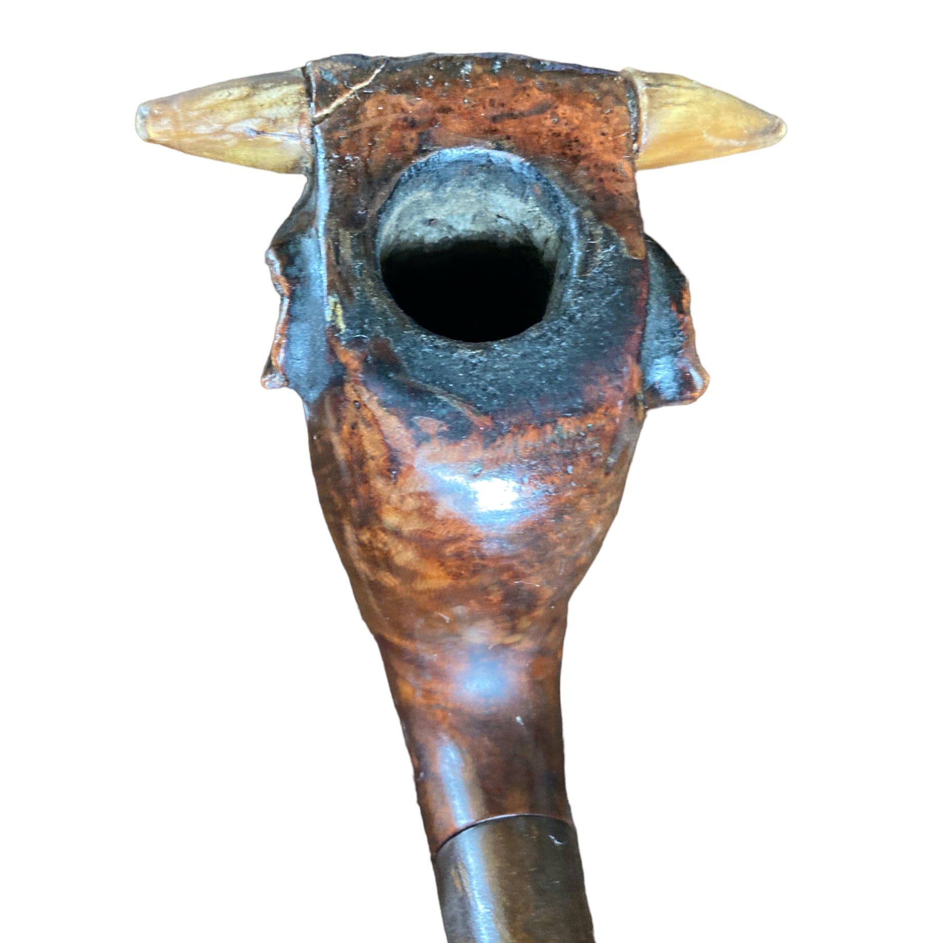 pipe bruyère tête de taureau